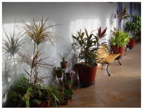 Suitel 522 Eco Hostel Mazatlán Eksteriør bilde