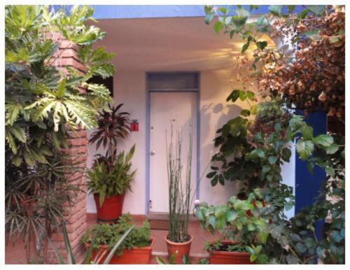 Suitel 522 Eco Hostel Mazatlán Eksteriør bilde