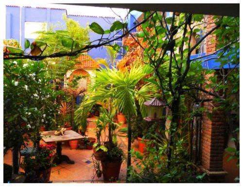 Suitel 522 Eco Hostel Mazatlán Eksteriør bilde