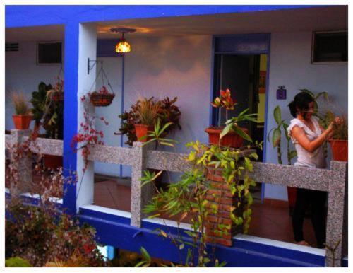 Suitel 522 Eco Hostel Mazatlán Eksteriør bilde