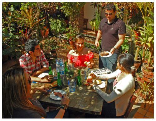 Suitel 522 Eco Hostel Mazatlán Eksteriør bilde